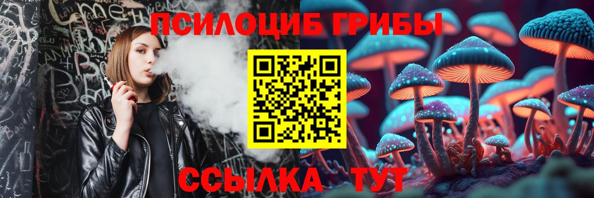 Псилоцибиновые грибы Psilocybine cubensis  Вход с VPN  Павлово 